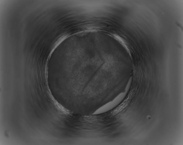 X0000097500859200803201551