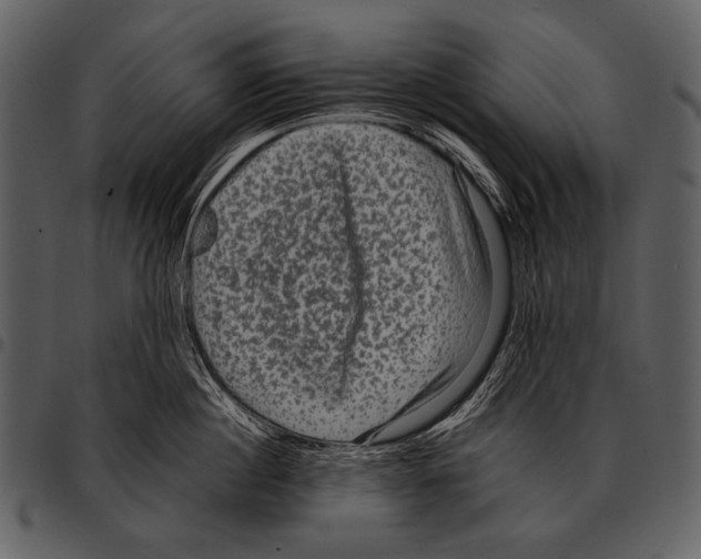 X0000097500860200803201551