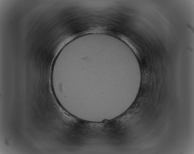 X0000097500861200803201551