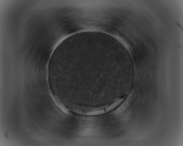 X0000097500862200803201551