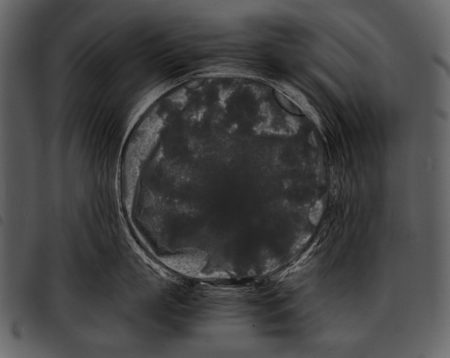X0000097500863200803201551