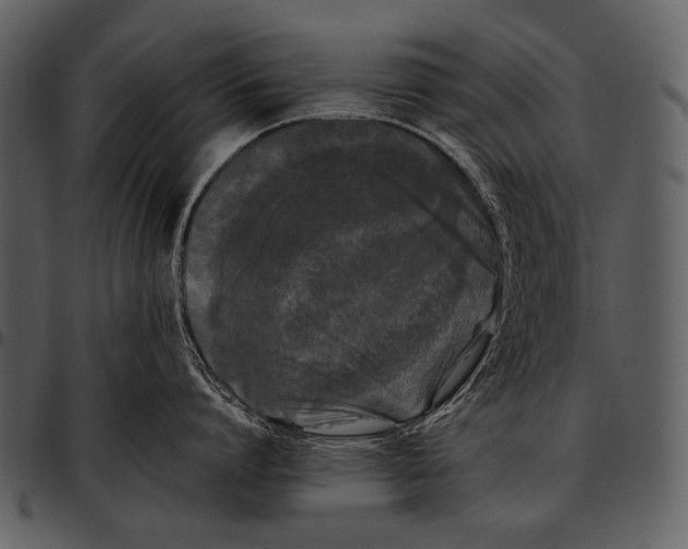 X0000097500864200803201551
