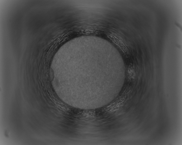X0000097500865200803201550