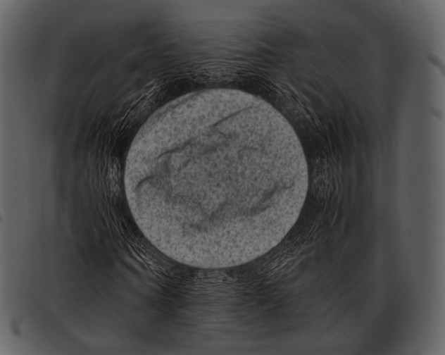 X0000097500866200803201550