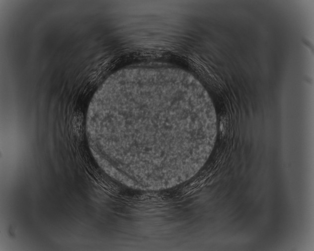 X0000097500867200803201550