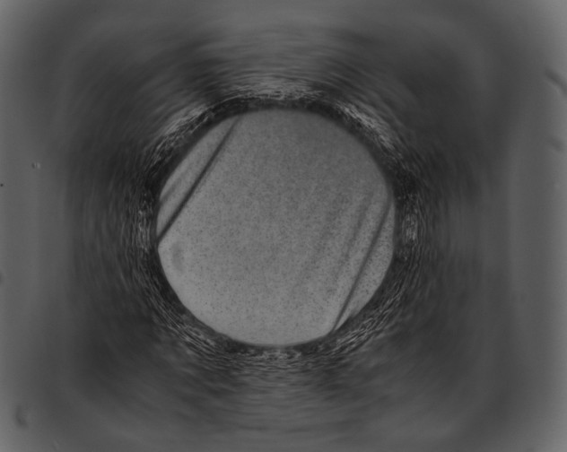 X0000097500869200803201550