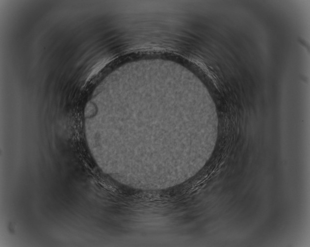 X0000097500871200803201550