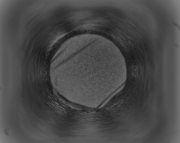X0000097500872200803201550