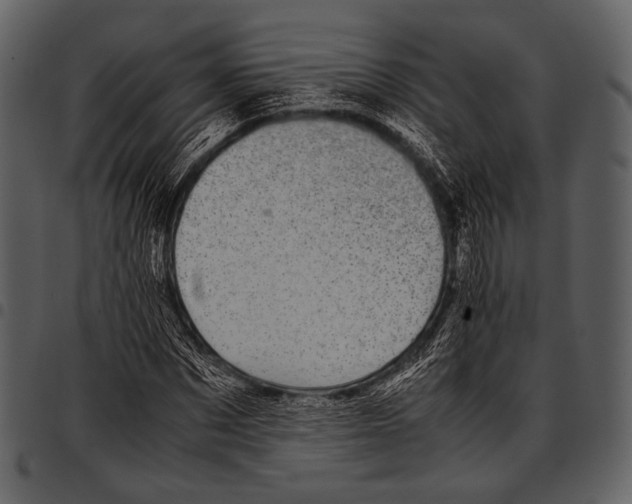 X0000097500873200803201550