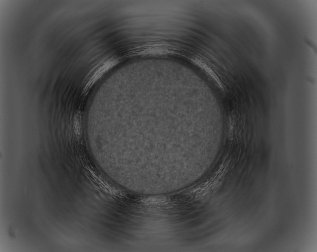 X0000097500874200803201550