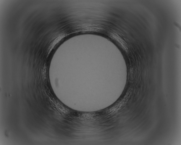 X0000097500875200803201550