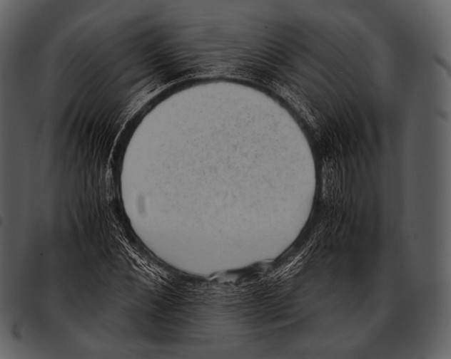 X0000097500876200803201550