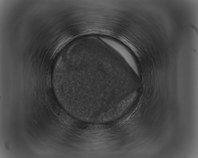X0000097500877200803201550