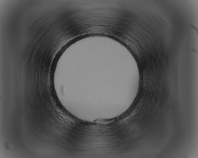 X0000097500880200803201550