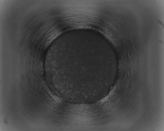 X0000097500881200803201550