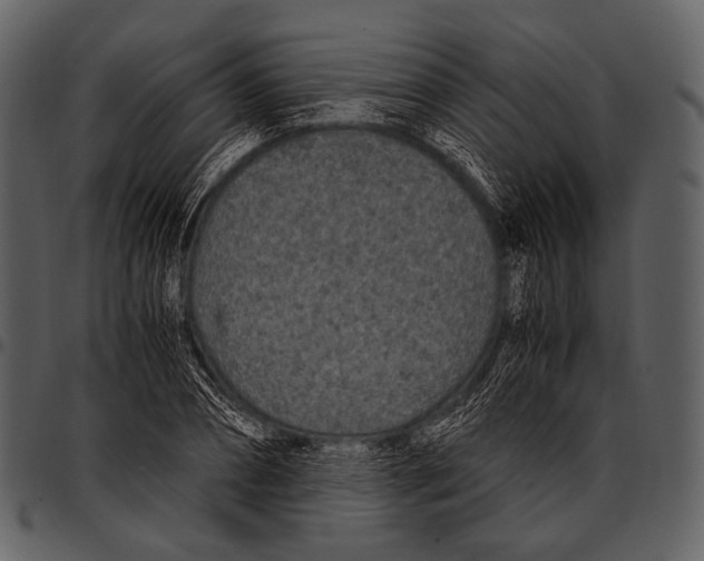 X0000097500882200803201550