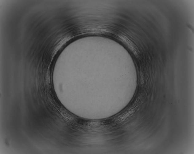 X0000097500883200803201550