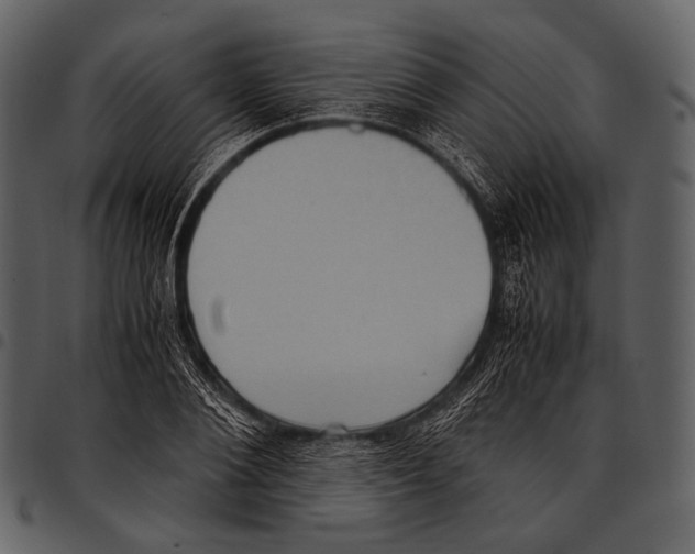 X0000097500884200803201550