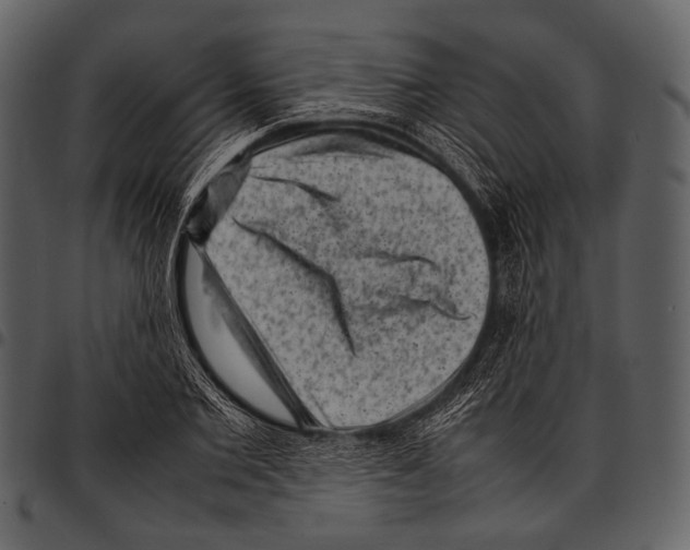 X0000097500885200803201550