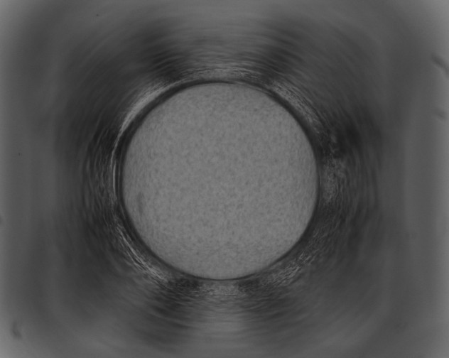X0000097500886200803201550