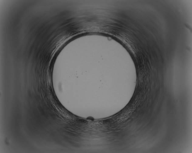 X0000097500887200803201550