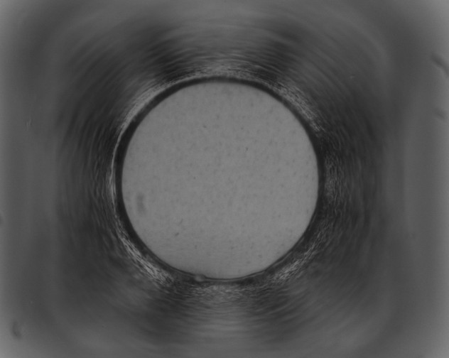 X0000097500888200803201550