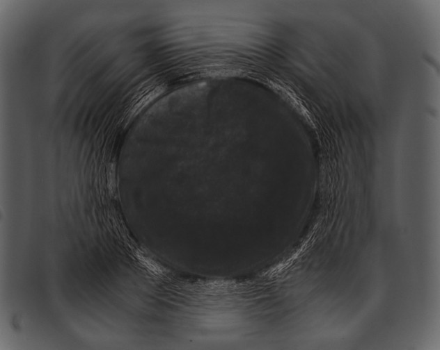 X0000097500889200803201550