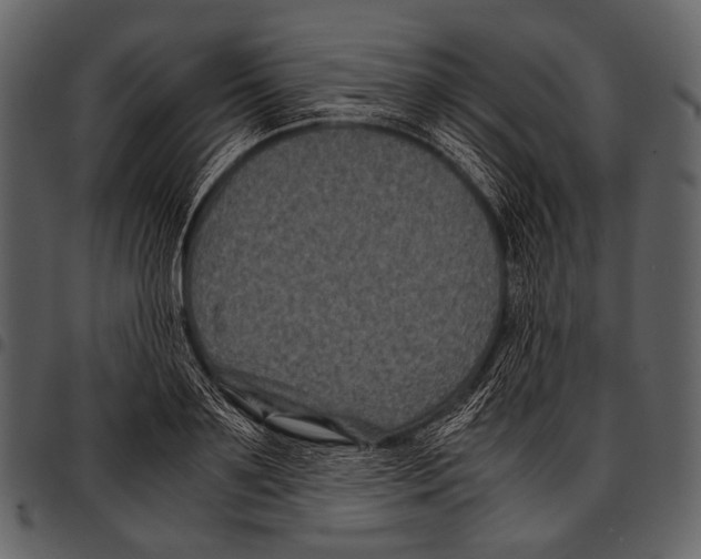 X0000097500891200803201550