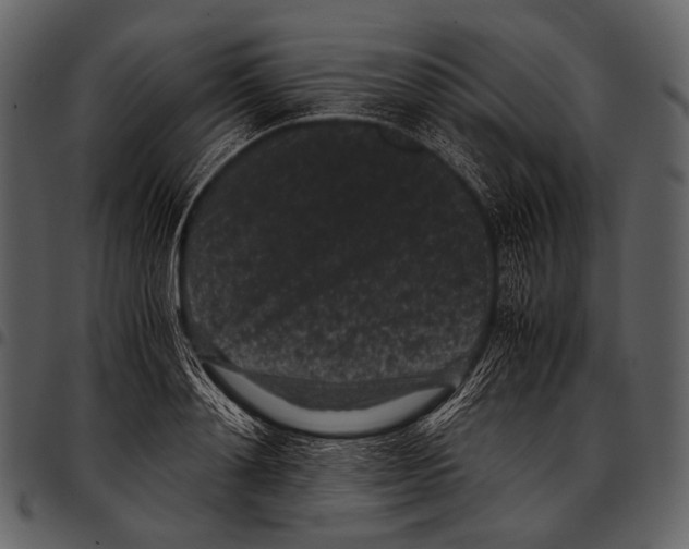 X0000097500892200803201550