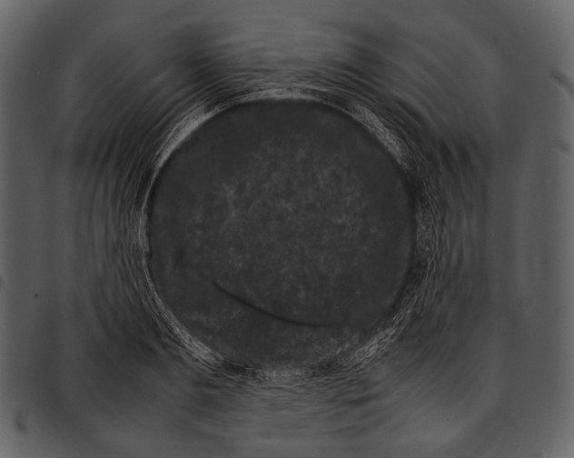 X0000097500893200803201550
