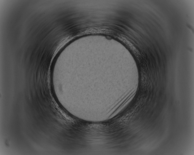 X0000097500894200803201550