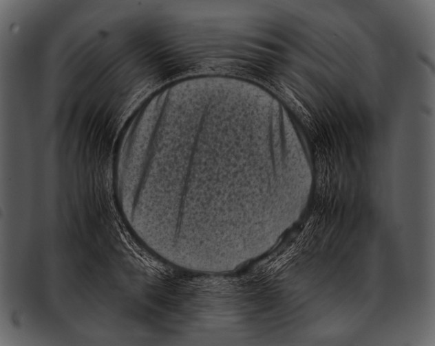X0000097500896200803201550