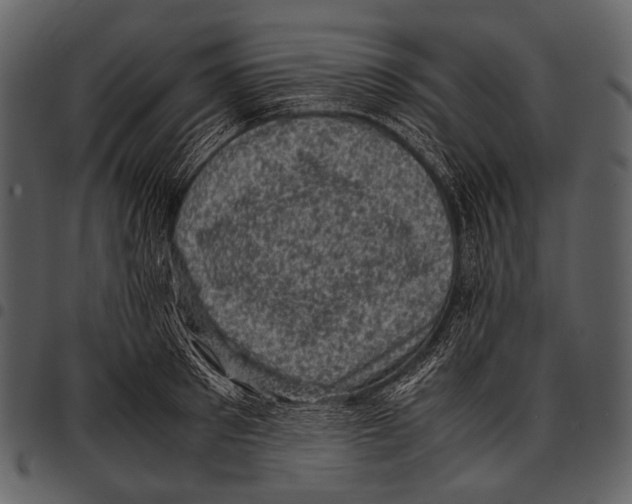 X0000097500897200803201550