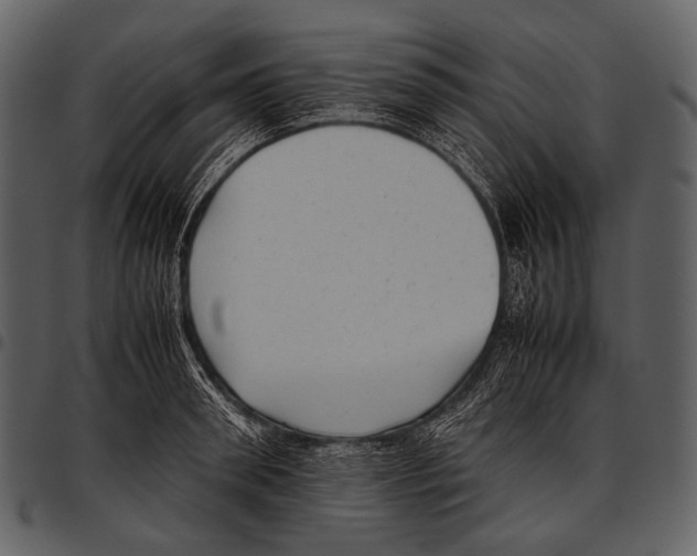 X0000097500898200803201550
