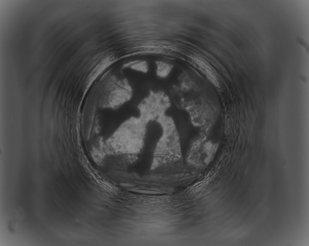 X0000097500899200803201550