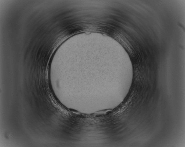 X0000097500900200803201550