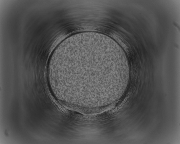 X0000097500901200803201550