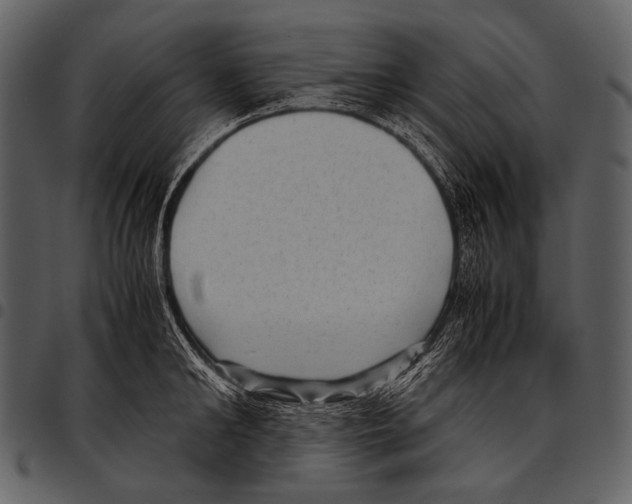 X0000097500902200803201550