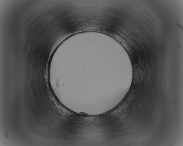 X0000097500904200803201549