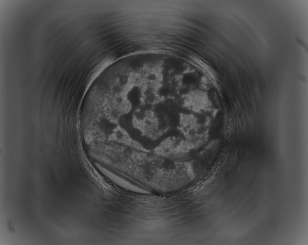 X0000097500907200803201549