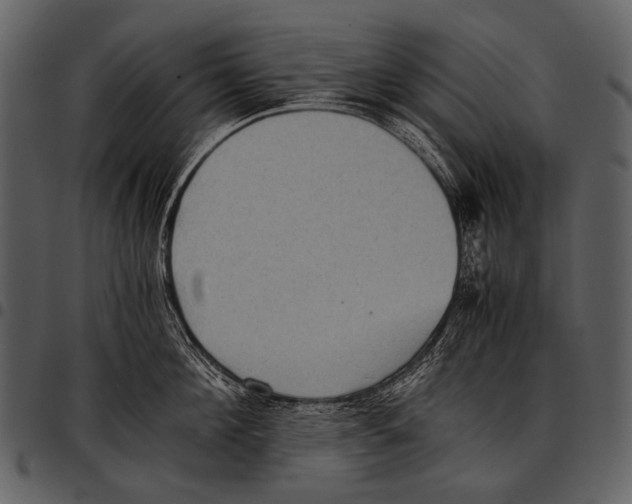 X0000097500908200803201549