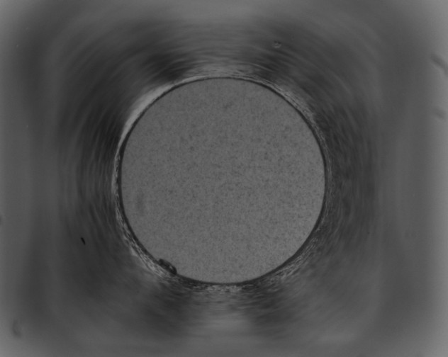 X0000097500912200803201549