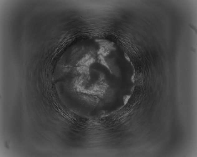 X0000097500913200803201549