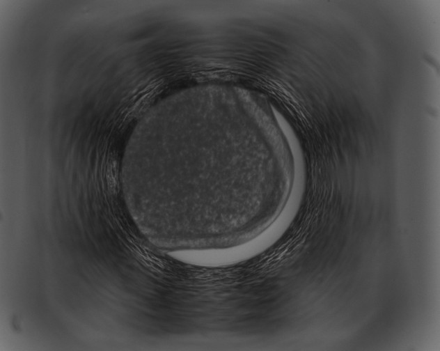 X0000097500915200803201549