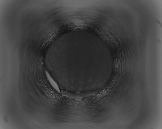 X0000097500916200803201549