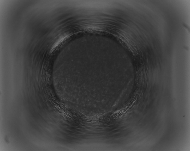 X0000097500919200803201549