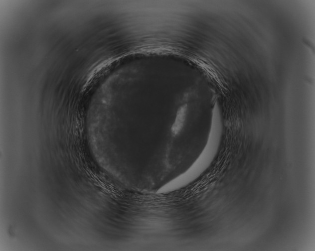 X0000097500920200803201549