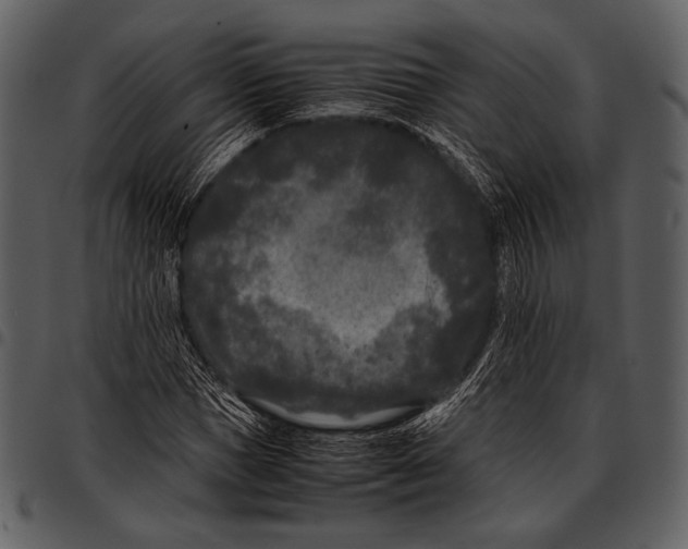 X0000097500921200803201549