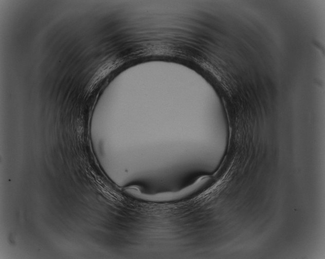 X0000097500922200803201549