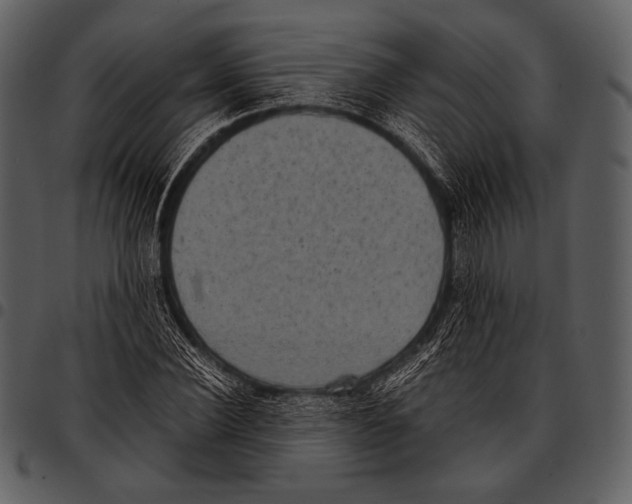 X0000097500924200803201549